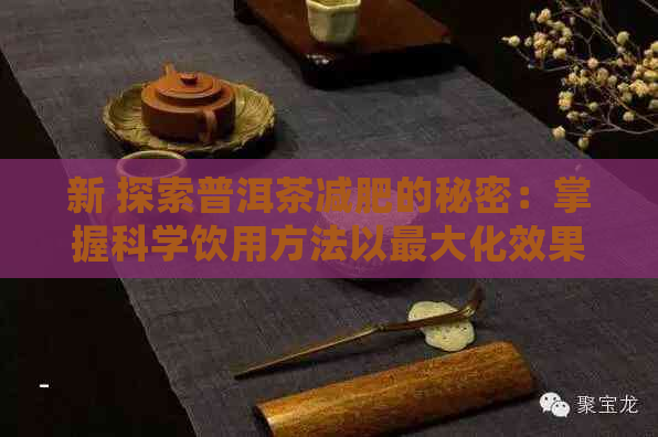 新 探索普洱茶减肥的秘密：掌握科学饮用方法以更大化效果