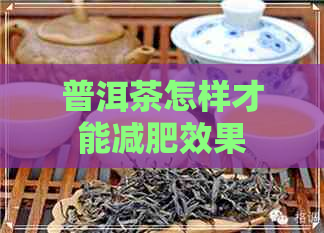 普洱茶怎样才能减肥效果