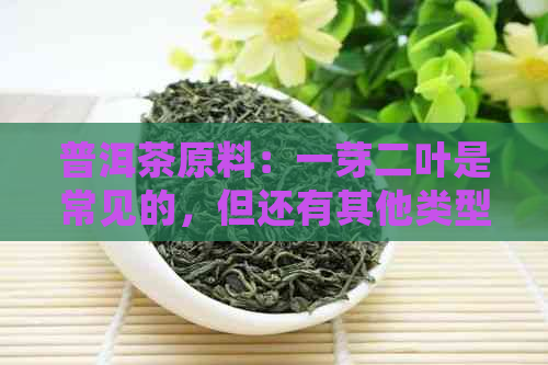 普洱茶原料：一芽二叶是常见的，但还有其他类型的叶子吗？