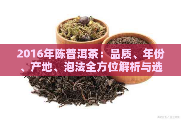 2016年陈普洱茶：品质、年份、产地、泡法全方位解析与选购指南