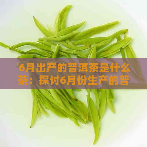 '6月出产的普洱茶是什么茶：探讨6月份生产的普洱茶叶品种与特点'