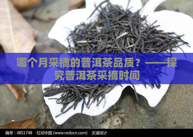 哪个月采摘的普洱茶品质？——探究普洱茶采摘时间