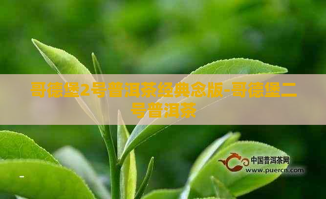 哥德堡2号普洱茶经典念版-哥德堡二号普洱茶