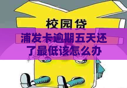 浦发卡逾期五天还了更低该怎么办