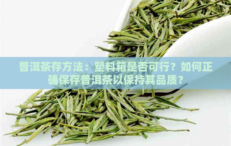 普洱茶存方法：塑料箱是否可行？如何正确保存普洱茶以保持其品质？