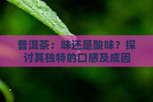 普洱茶：味还是酸味？探讨其独特的口感及成因