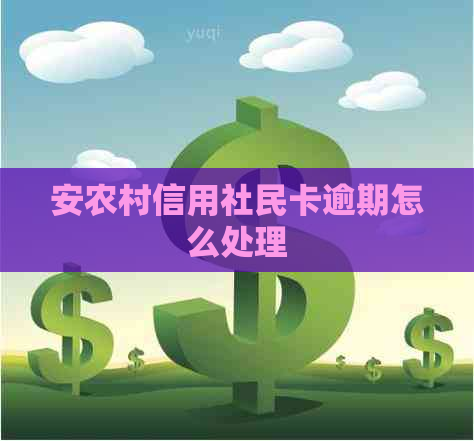 安农村信用社民卡逾期怎么处理