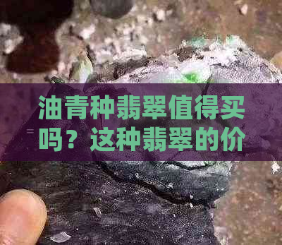 油青种翡翠值得买吗？这种翡翠的价值和适合的用途是什么？