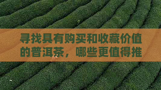 寻找具有购买和收藏价值的普洱茶，哪些更值得推荐？