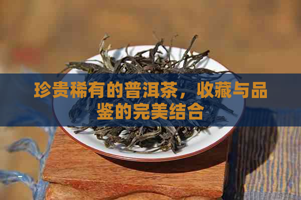 珍贵稀有的普洱茶，收藏与品鉴的完美结合