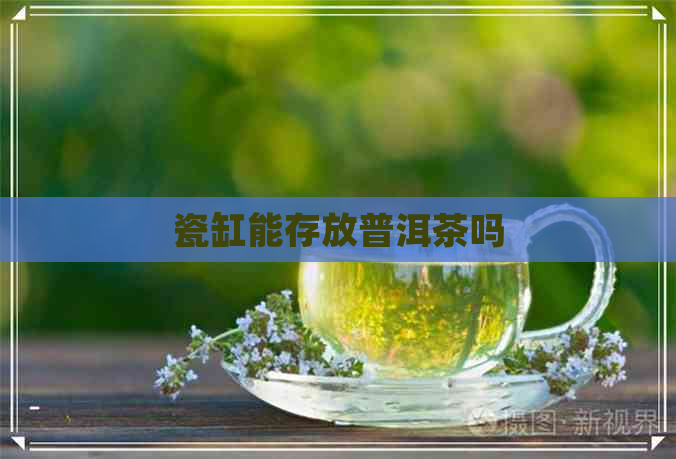 瓷缸能存放普洱茶吗