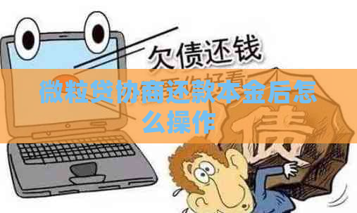 微立贷协商还款本金后怎么操作