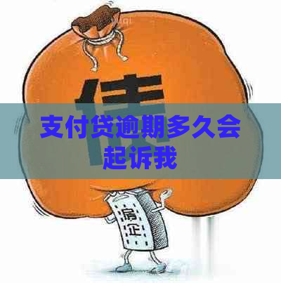 支付贷逾期多久会起诉我