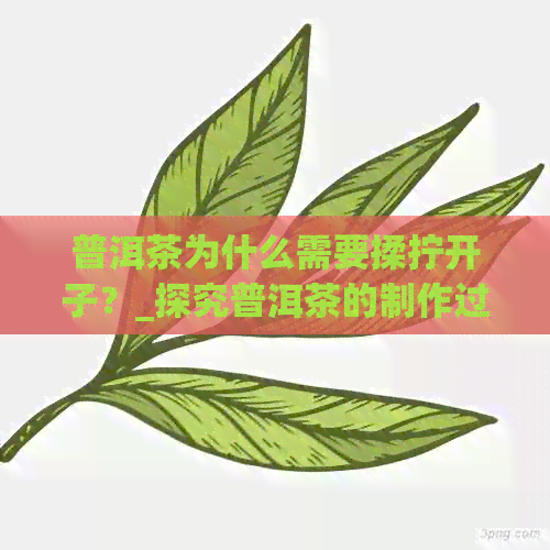 普洱茶为什么需要揉拧开子？_探究普洱茶的制作过程和饮用方式