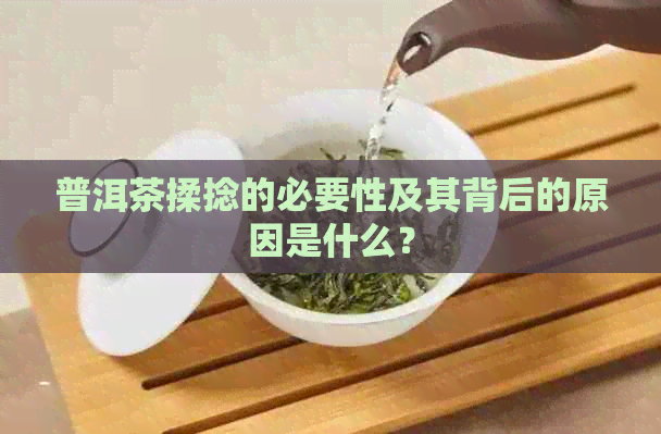 普洱茶揉捻的必要性及其背后的原因是什么？