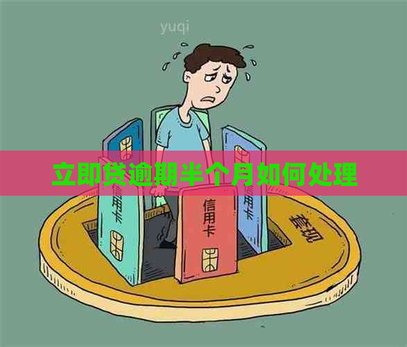 立即贷逾期半个月如何处理