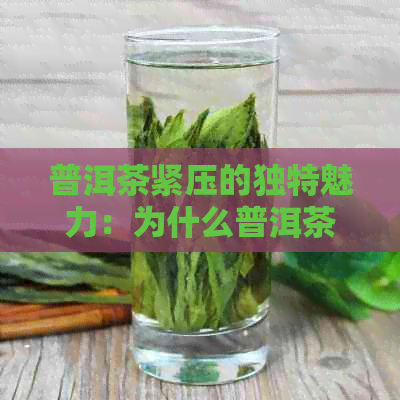 普洱茶紧压的独特魅力：为什么普洱茶要紧压？