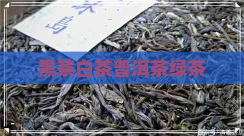 黑茶白茶普洱茶绿茶