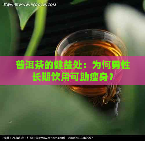 普洱茶的健益处：为何男性长期饮用可助瘦身？