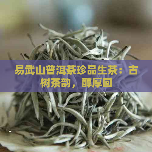 易武山普洱茶珍品生茶：古树茶韵，醇厚回