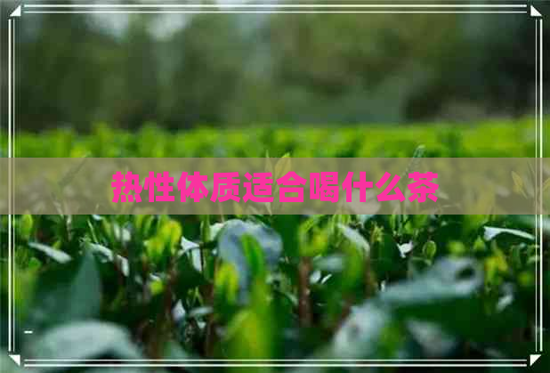 热性体质适合喝什么茶