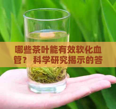 哪些茶叶能有效软化血管？ 科学研究揭示的答案与建议