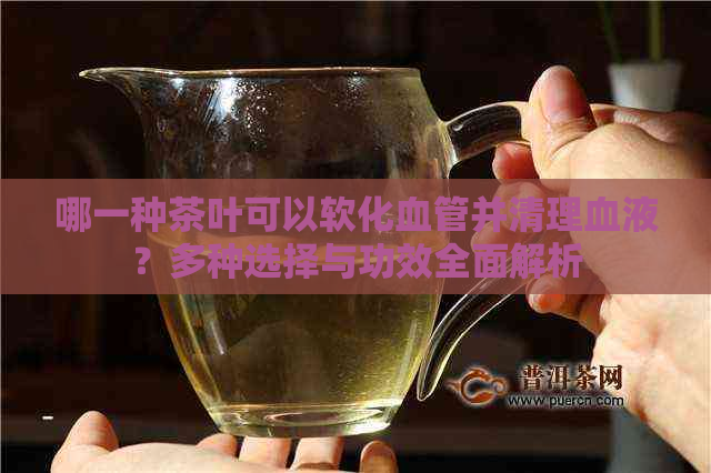 哪一种茶叶可以软化血管并清理血液？多种选择与功效全面解析