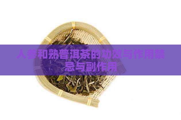 人参和熟普洱茶的功效与作用禁忌与副作用