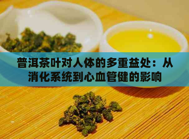 普洱茶叶对人体的多重益处：从消化系统到心血管健的影响