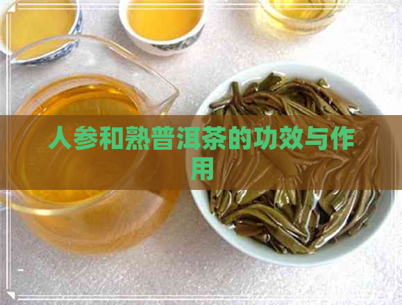 人参和熟普洱茶的功效与作用