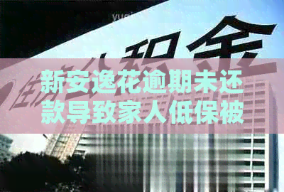 新安逸花逾期未还款导致家人低保被冻结，用户该如何解决此问题？