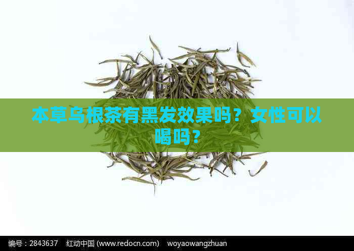 本草乌根茶有黑发效果吗？女性可以喝吗？