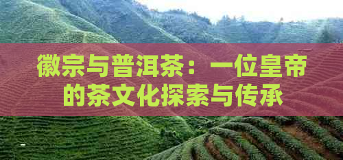 徽宗与普洱茶：一位皇帝的茶文化探索与传承