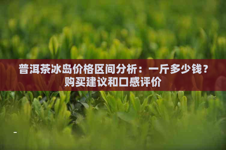 普洱茶冰岛价格区间分析：一斤多少钱？购买建议和口感评价