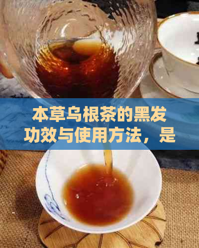 本草乌根茶的黑发功效与使用方法，是否真正有效？