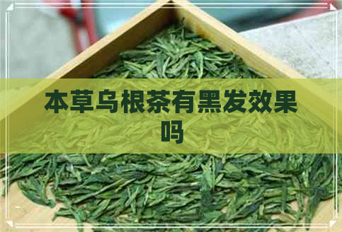 本草乌根茶有黑发效果吗