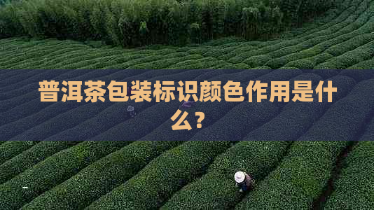 普洱茶包装标识颜色作用是什么？