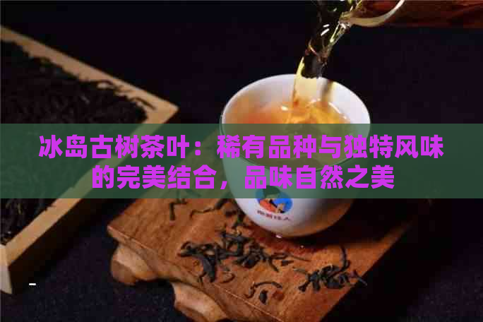 冰岛古树茶叶：稀有品种与独特风味的完美结合，品味自然之美