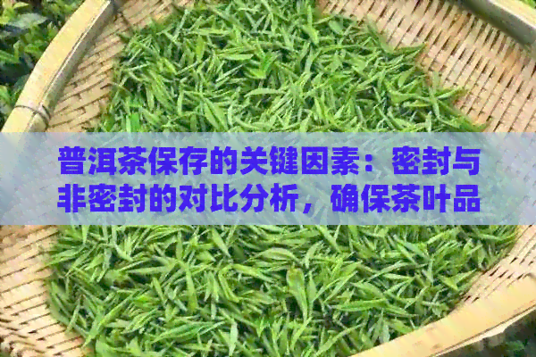 普洱茶保存的关键因素：密封与非密封的对比分析，确保茶叶品质持久与稳定