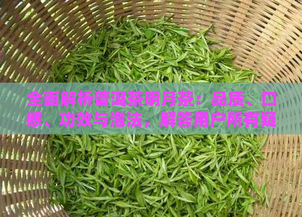 全面解析普洱茶明月茶：品质、口感、功效与泡法，解答用户所有疑问