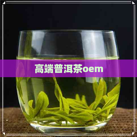 高端普洱茶oem