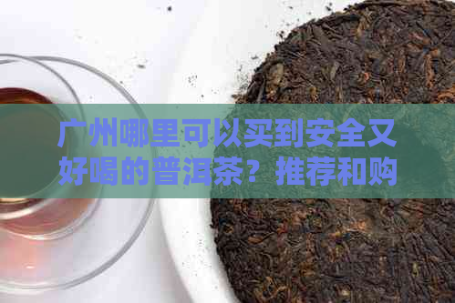 广州哪里可以买到安全又好喝的普洱茶？推荐和购买渠道