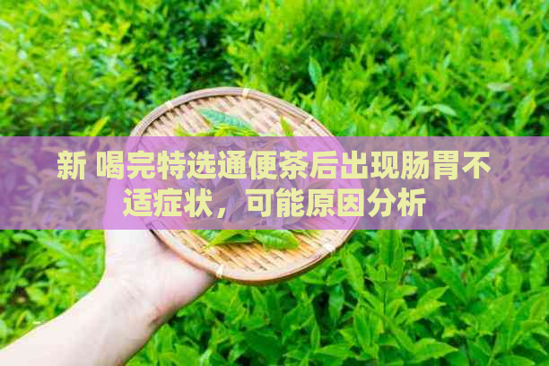 新 喝完特选通便茶后出现肠胃不适症状，可能原因分析