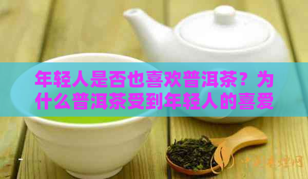 年轻人是否也喜欢普洱茶？为什么普洱茶受到年轻人的喜爱？