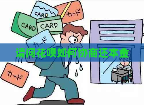 请问花呗如何协商还本金