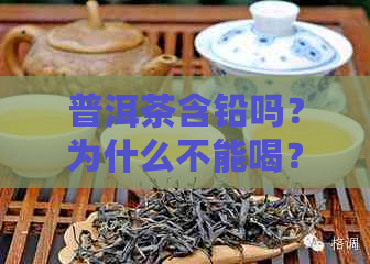 普洱茶含铅吗？为什么不能喝？为什么那么高？为什么这么高？