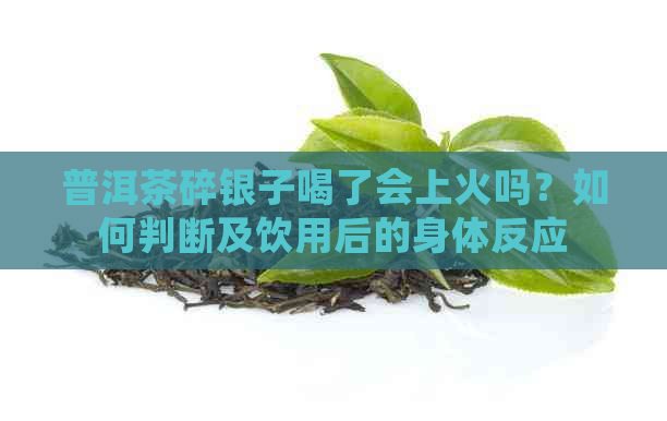 普洱茶碎银子喝了会上火吗？如何判断及饮用后的身体反应