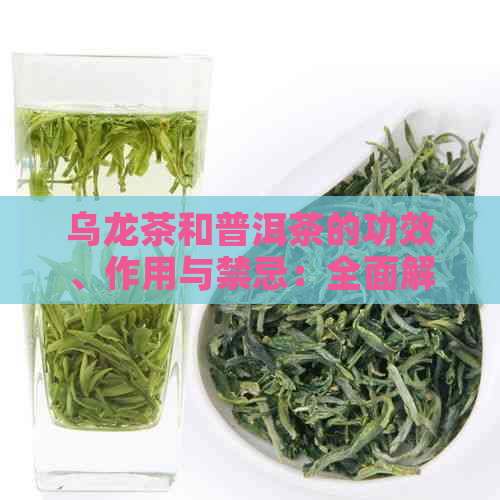 乌龙茶和普洱茶的功效、作用与禁忌：全面解析茶叶的营养价值及饮用注意事项