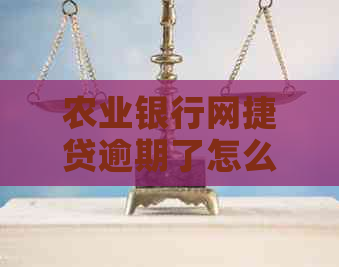 农业银行网捷贷逾期了怎么办