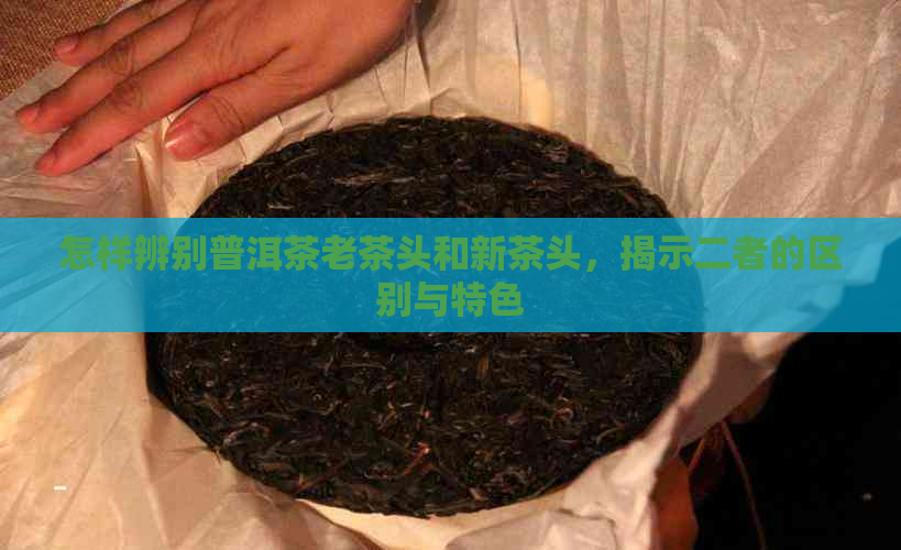 怎样辨别普洱茶老茶头和新茶头，揭示二者的区别与特色